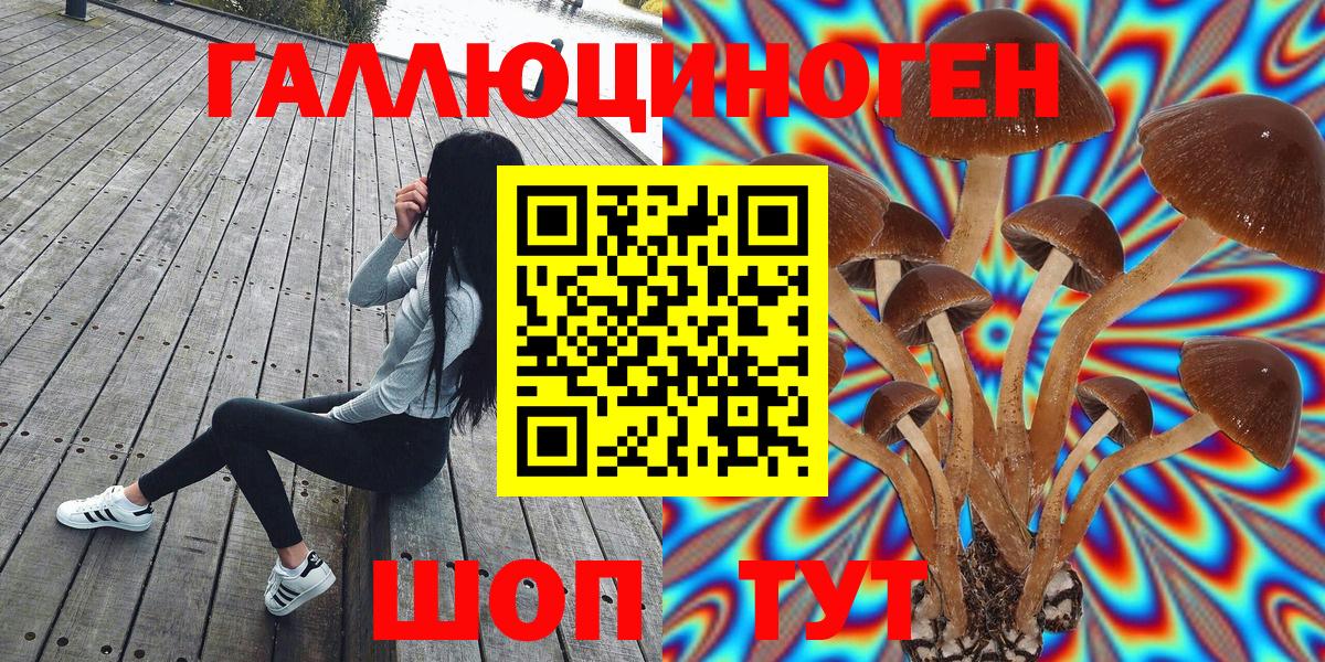даркнет сайт  Галлюциногенные грибы Psilocybe  Вход с VPN  Новый Уренгой  Псилоцибиновые грибы мухоморы 